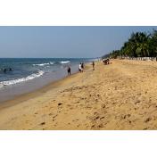 Day 03 (Exploring South indian temples with hill stations 9 NIGHTS  10 DAYS)  Cochin beach.jpg